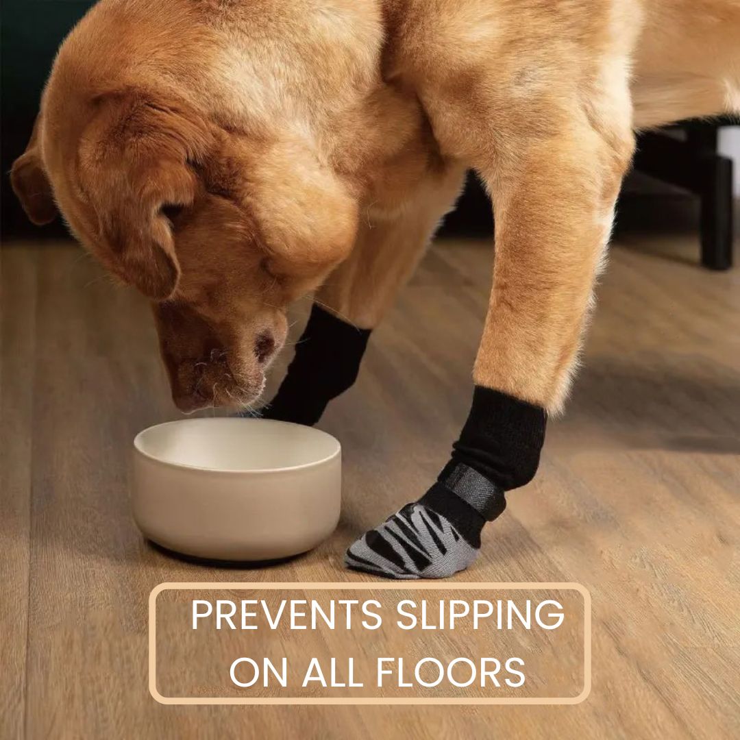 Premium Non-Slip Dog Socks