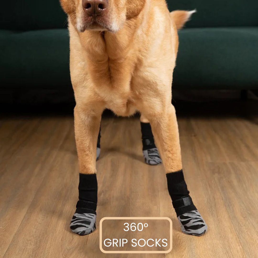 Premium Non-Slip Dog Socks