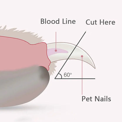 Professional Pet Nail Clipper with Led Light