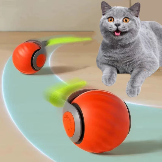 Superfast Electronic Cat Tail